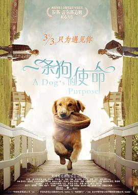 这首诞生于敌后抗战根据地“黎明前的黑暗”时期的不朽作品，号召人们只有团结起来、形成钢铁般的力量，才能无坚不摧。