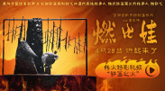 照片中，张婧仪身着舒适针织感外套，置身暖棕色调背景前，整组照片透露出自在温暖的氛围感，展现出张婧仪慵懒随性的自如一面。