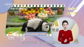 影片采用IMAX特制... 《沙丘3》首曝预告 赞达亚甜茶震撼开启史诗终2026-03-18 电影《真人快打2》定档5月8日 格斗升级血战到2026-03-16 《你好，爱美丽》超前观影 鲁豫连线导演共谈成长2026-03-15 《至尊马蒂》曝特辑 沉浸体验马蒂紧张奔突人生2026-03-13 更多 相关电影 蛛丝马迹 导演：约翰·李·汉考克 主演：丹泽尔·华盛顿 等 《蛛丝马迹》：实力派同台飙戏 心理战殊死博弈独家 策划 最新资讯 去新闻频道 1《马兰花开的声音》亮相北影节 传递冬奥温暖幕后 2 两大机构首度联手 中国电影在戛纳开启国际新篇章 3 《三心两意》曝终极预告 林依晨治愈告白张艺凡 4 《寒战1994》曝光新预告 刘德华惊喜现身香港首映 5 蒋龙杨超越…爆笑接梗!